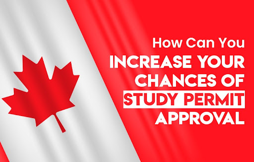 How Can You Increase Your Chances Of Study Permit Approval?